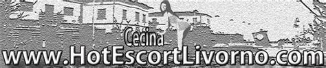 escort trans cecina|Trans Cecina, Top Trans e transex a Cecina